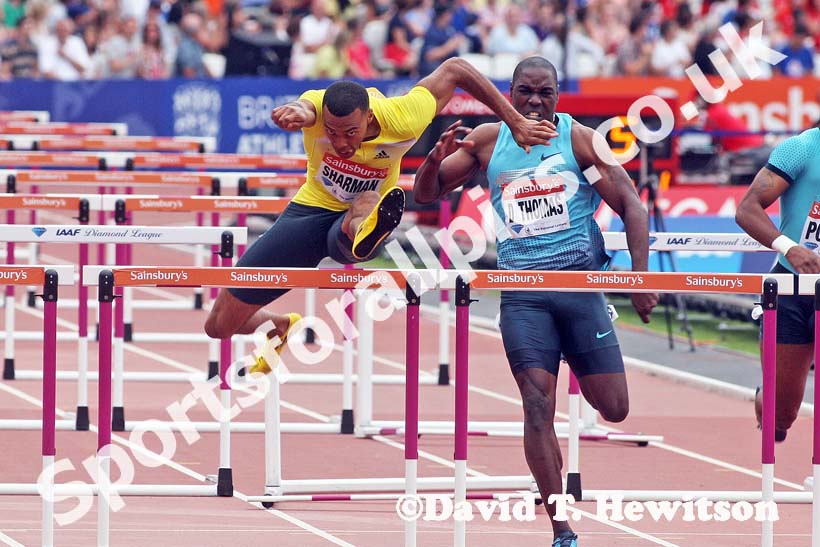 William Sharman in the 110 metres hurdles,  2013 IAAF Diamond League, Sainsbury's Anniversary Games, Queen Elizabeth Olympic Park, London.